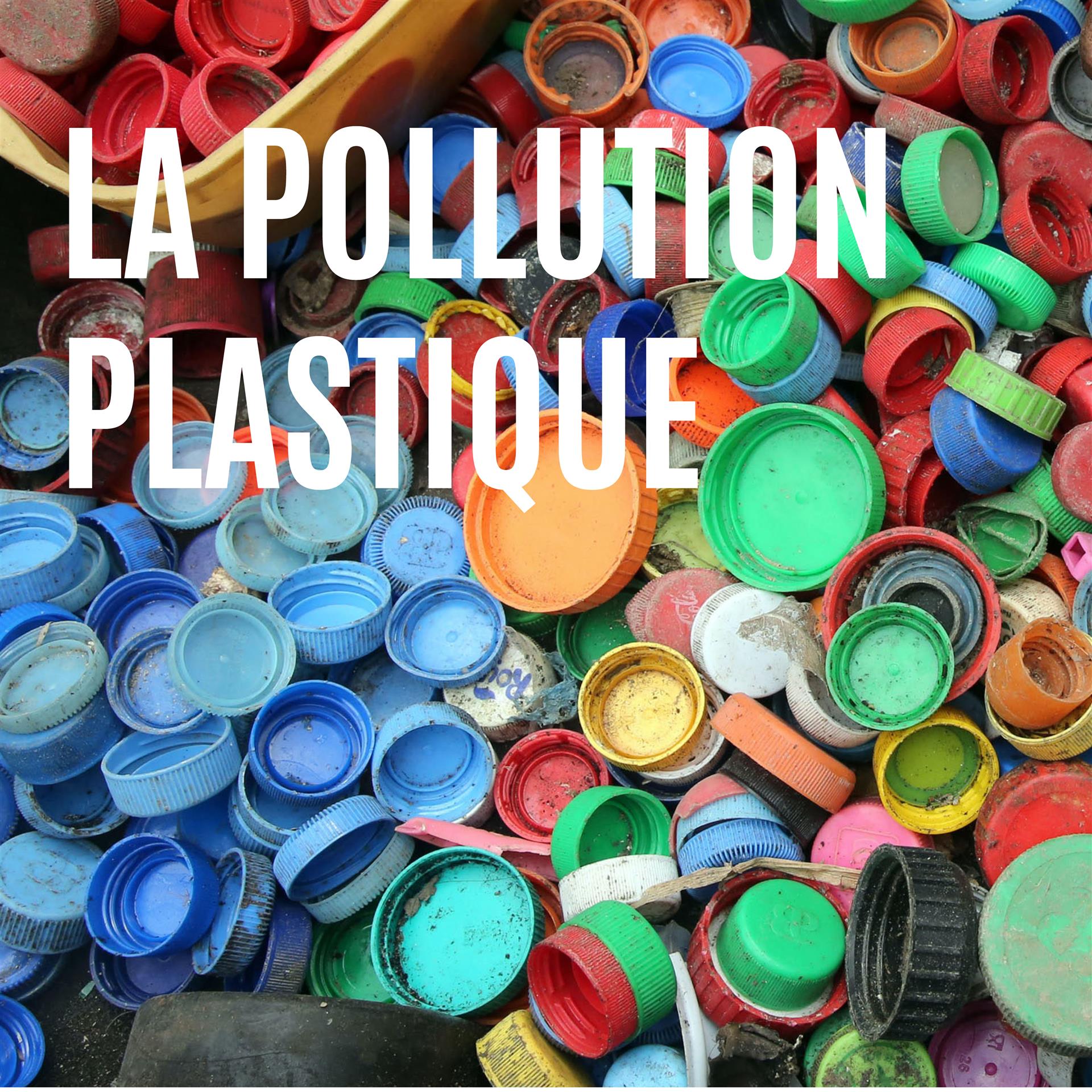 L'impact de la pollution plastique et comment y remédier