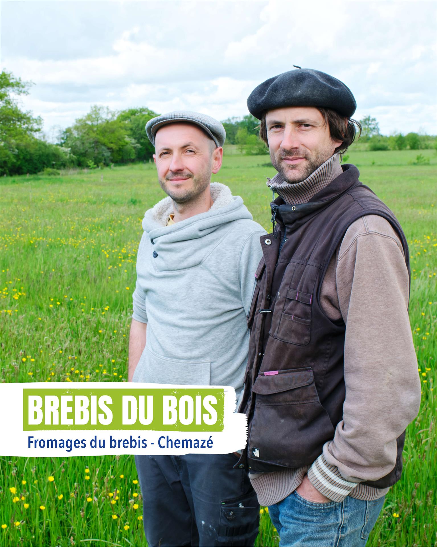 Brebis du Bois 