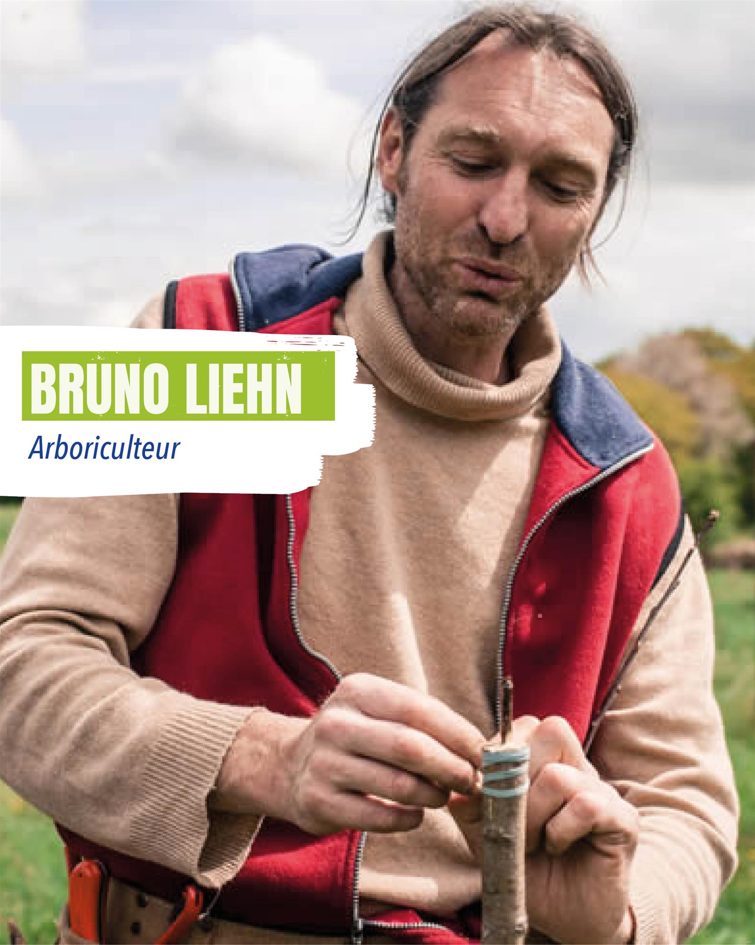 Bruno Liehn