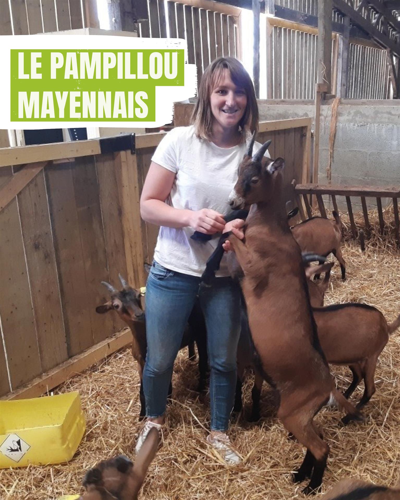 Le Pampillou Mayennais