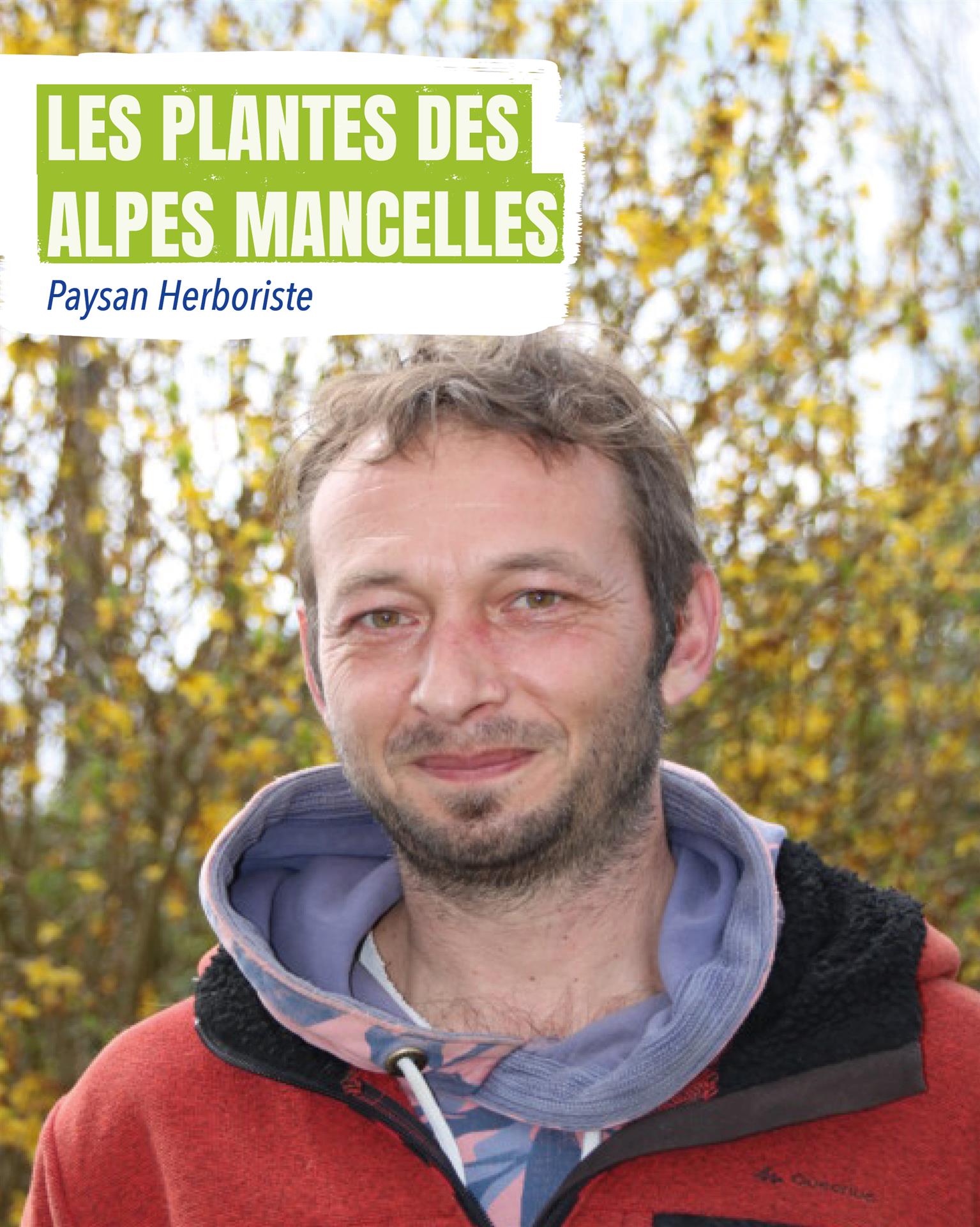 Les Plantes des Alpes Mancelles Les Plantes des Alpes Mancelles