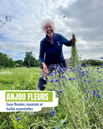 Anjou fleurs