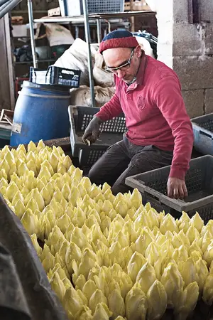 Noës Légumes