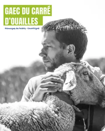 Gaec du Carré d'Ouailles