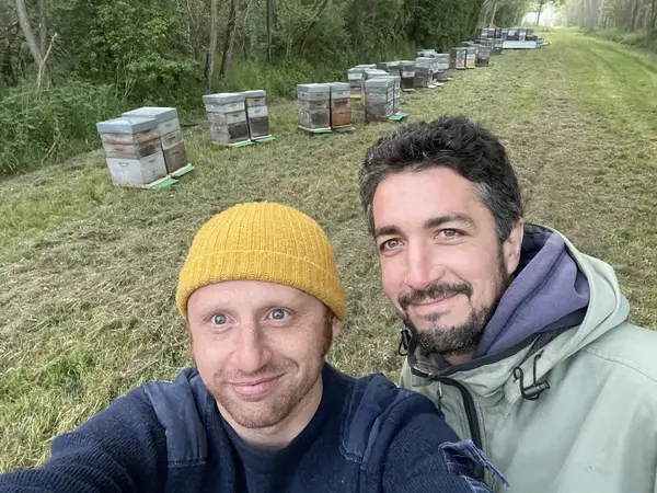 Miels du Pays de Châteaubriant Miels du Pays de Châteaubriant