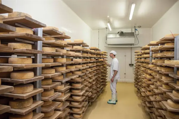 La fromagerie d'Entrammes