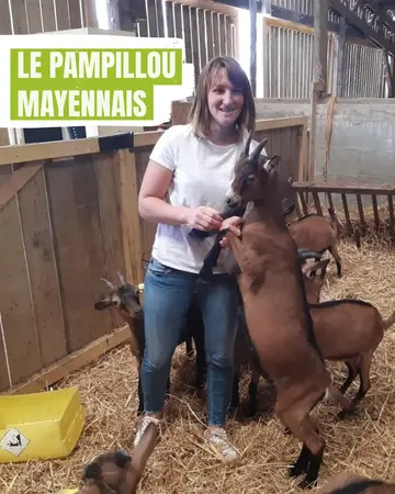 Le Pampillou Mayennais