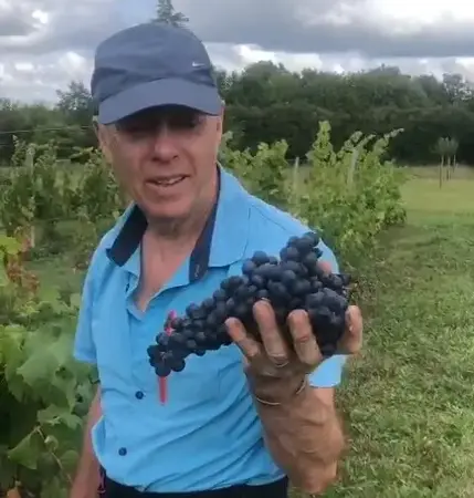 Les Vignes du Champ du Four Les Vignes du Champ du Four