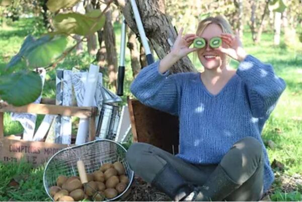 Les délices du kiwi