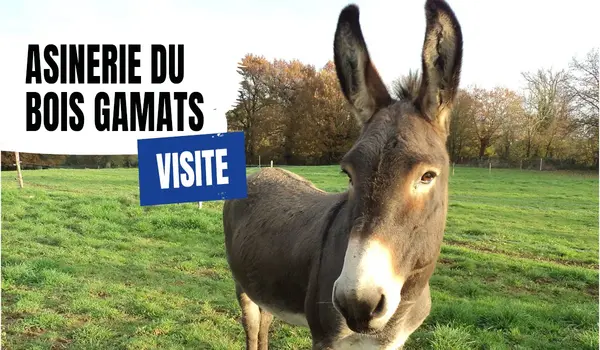 Visite de l'Asinerie du Bois Gamats