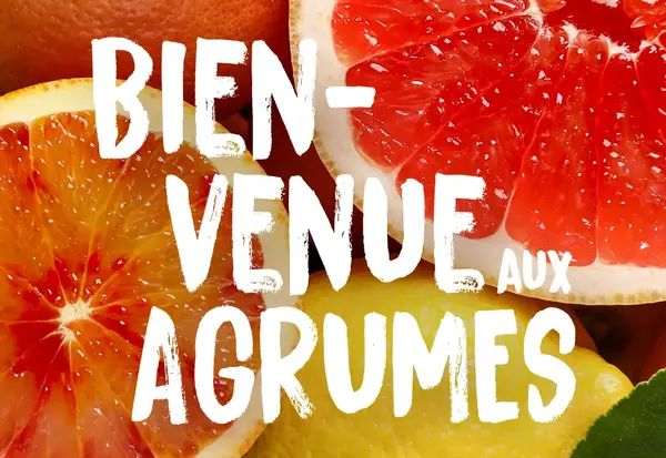 Bienvenue aux agrumes : oranges et pomelos de Corse !